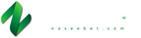 Naseebet Casino official logo featuring a green 'N' above the word 'Naseebet'